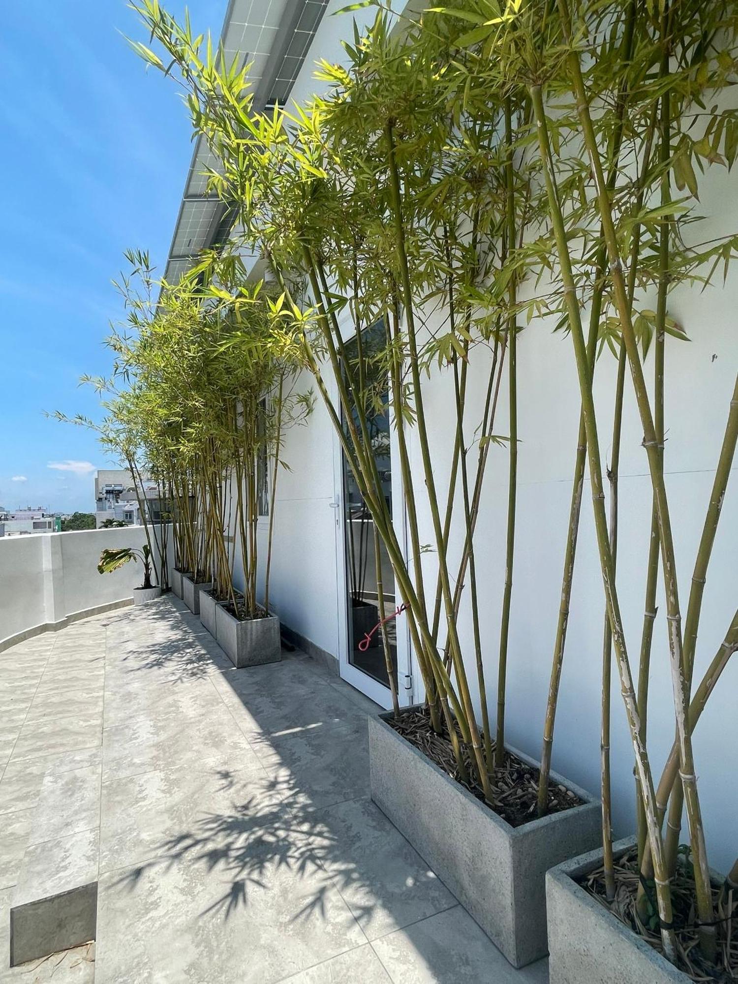 צ'או דוק The Ck Hotel מראה חיצוני תמונה